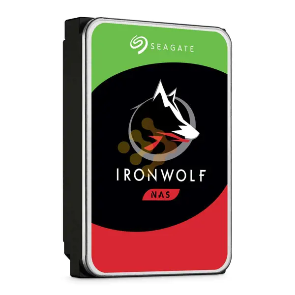 SeaGate IronWolf 1TB
